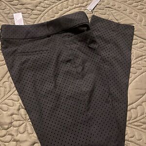 Loft New! Size 10 Black Polka Dot Pants